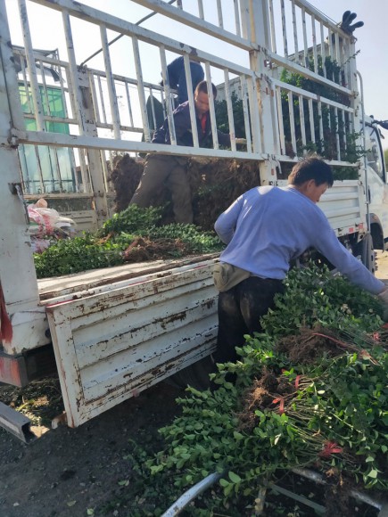 發貨現場
